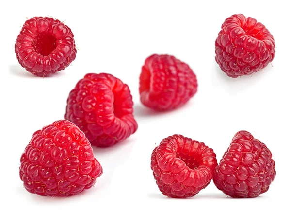 Raspberry fruit set — Stock Photo, Image