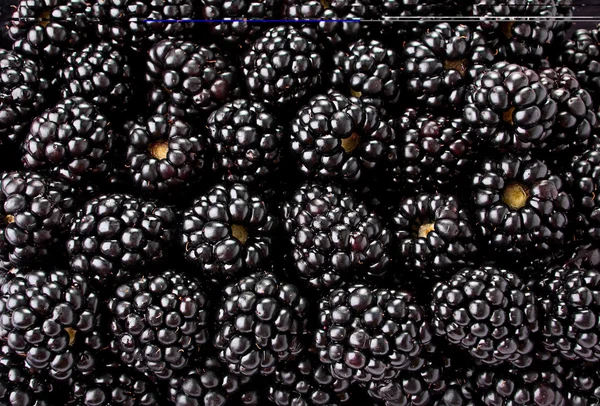 Latar belakang buah Blackberry — Stok Foto