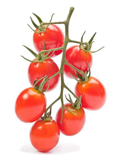 Branch red cherry tomatoes — Stock Photo, Image