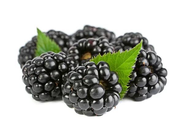 Blackberry fruit with leaf — Stock Photo, Image