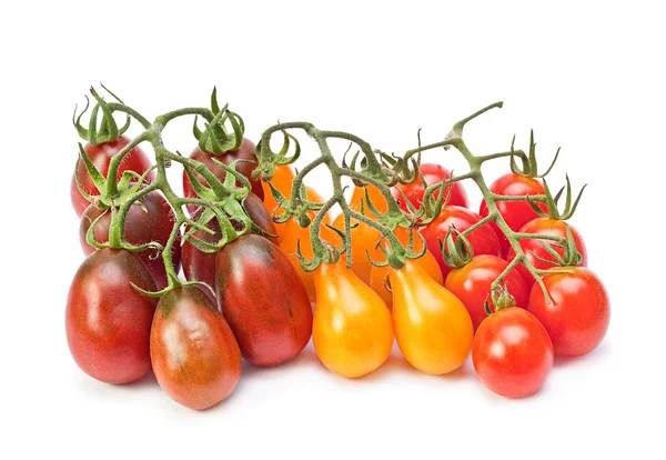 Oddział varicolored pomidorkami — Zdjęcie stockowe