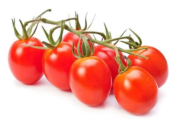 Rama de tomates rojos cereza — Foto de Stock