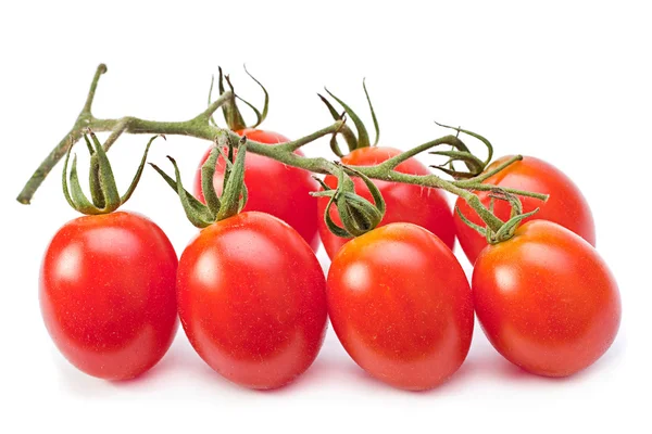 Branch red cherry tomatoes — Stock Photo, Image