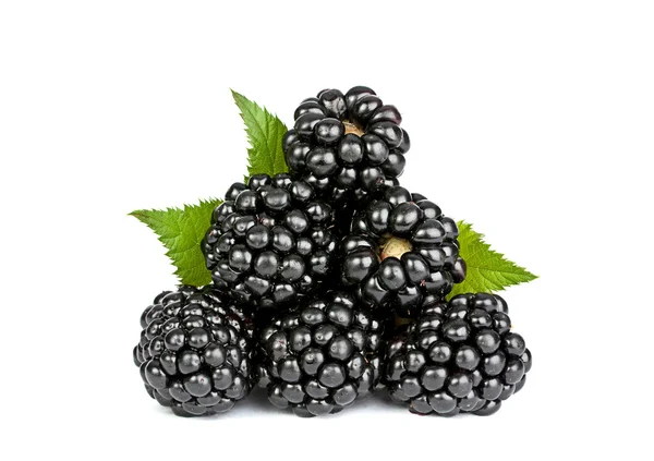 Blackberry with leaf — Stock Photo, Image