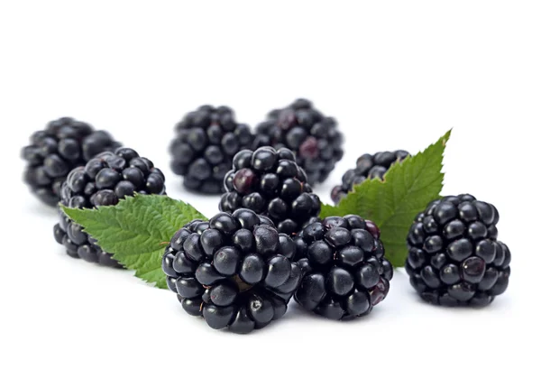 Blackberry fruit with leaf — Stock Photo, Image