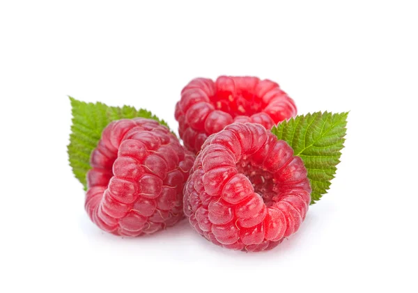 Raspberry fruit on white Stock Image