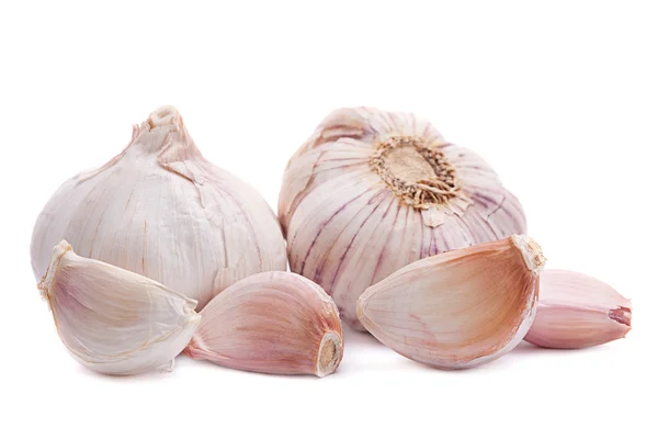 Garlic vegetable on white — Stock Photo, Image
