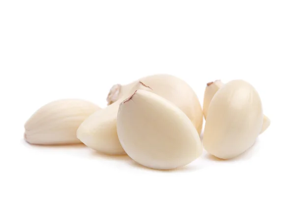 Garlic vegetable on white — Stock Photo, Image