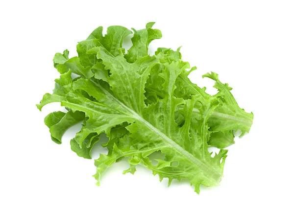 Grön sallad färska salladsblad — Stockfoto