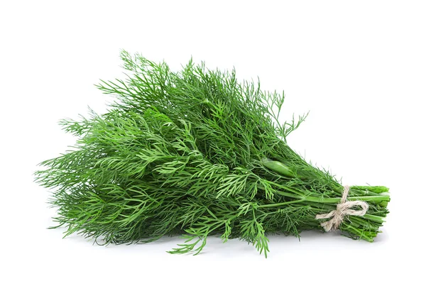 Dill aromatisches Kraut — Stockfoto