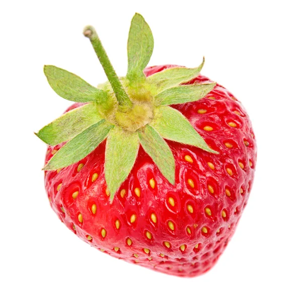 Strawberry fruit on white — Stock Photo, Image