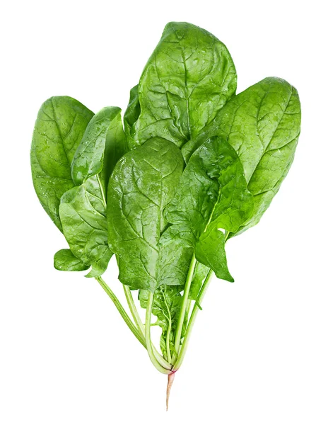 Verdure di spinaci su bianco — Foto Stock