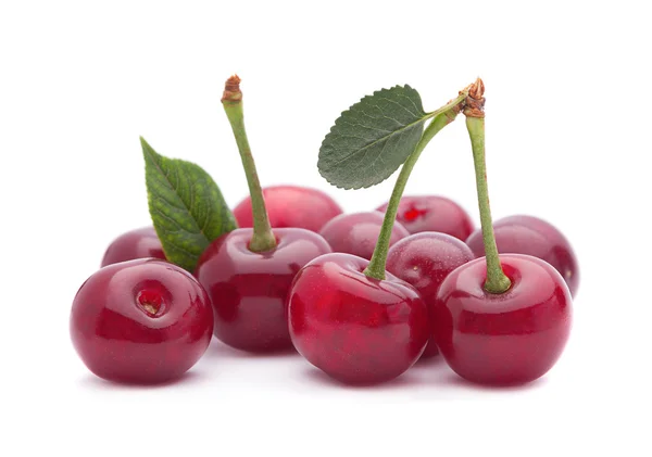 Cherry vruchten op witte — Stockfoto