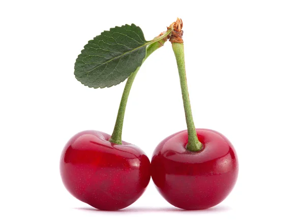 Fruta de cereza sobre blanco —  Fotos de Stock