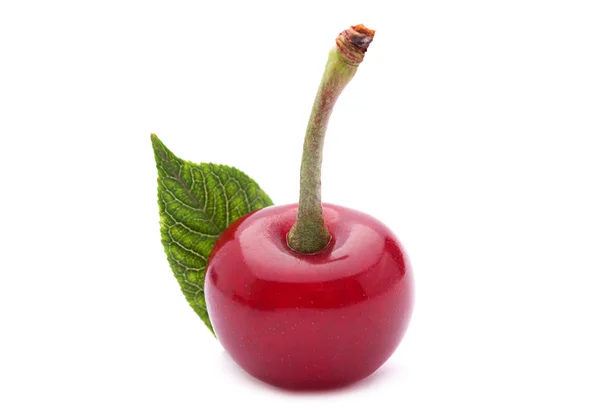 Cherry vruchten op witte — Stockfoto