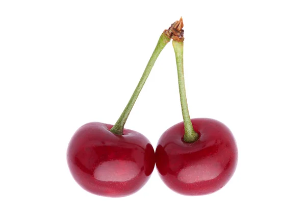 Cherry fruit on white — Stock Photo, Image