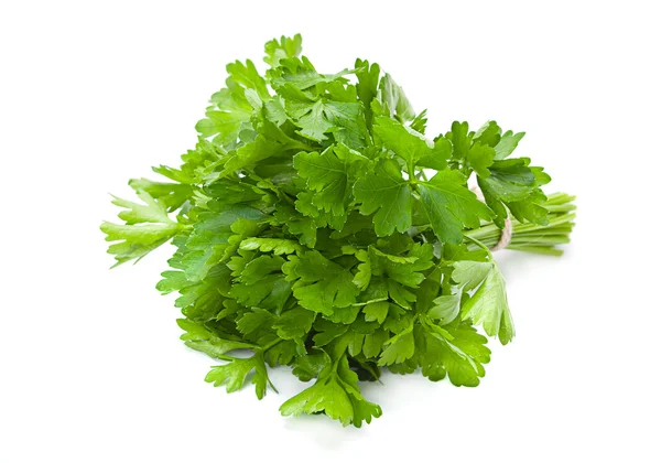 Peterselie aromatische kruid — Stockfoto