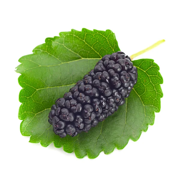 Black mulberry on white — Stock Photo, Image