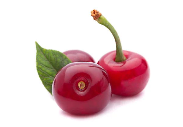 Cherry vruchten op witte — Stockfoto