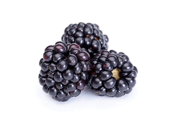 BlackBerry fruit op wit — Stockfoto