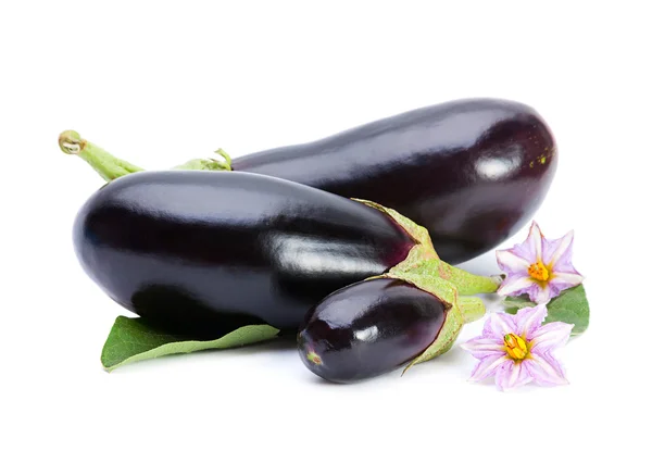 Aubergine grøntsag på hvid - Stock-foto