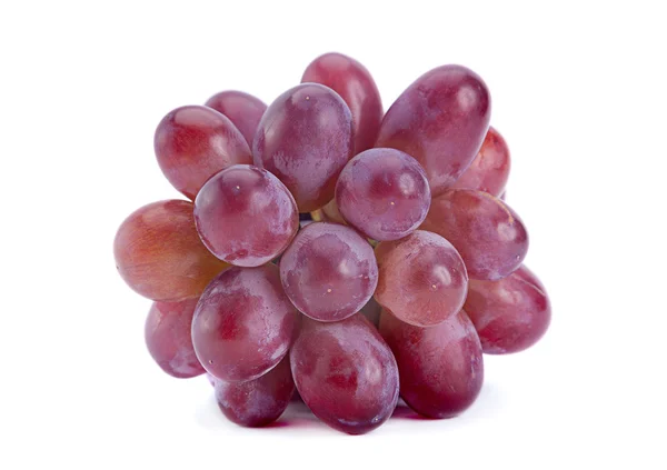 Виолетовый виноград — стоковое фото