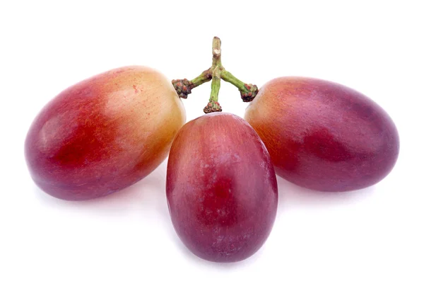 Violet anggur berry — Stok Foto