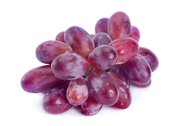 Fruto de uva violeta — Foto de Stock