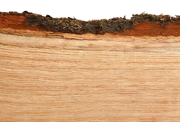Oak firewood background — Stock Photo, Image