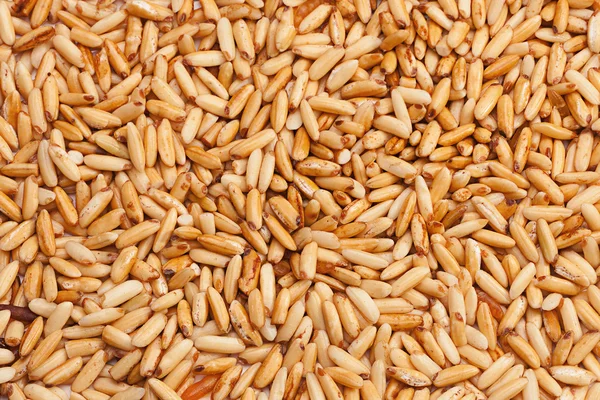 Sfondo seme di riso fritto — Foto Stock