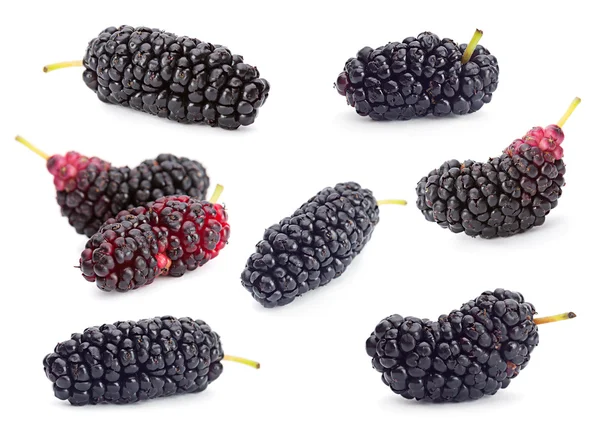Nero gelso frutta impostato su bianco — Foto Stock