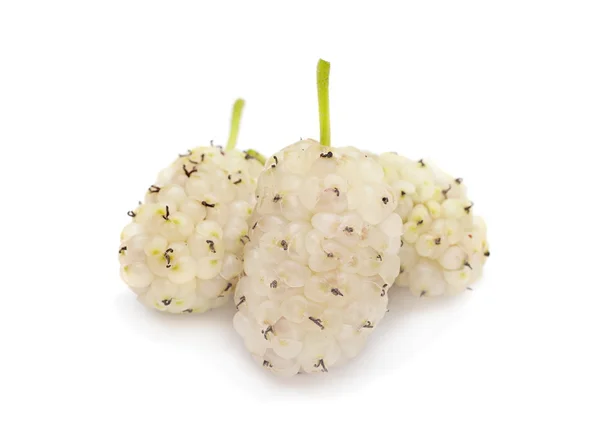 Frutta di gelso bianco — Foto Stock