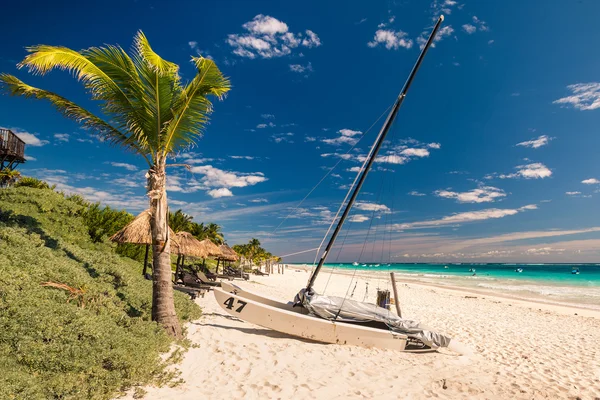 Catamaran garé à la plage — Photo