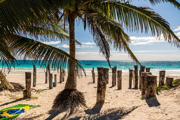 Ayağı paraiso beach Stok Resim