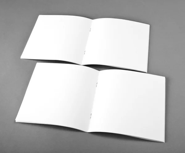 Revista abierta en blanco aislada sobre fondo gris con sábalo suave — Foto de Stock