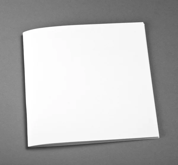 Revista de brochura em branco isolada em cinza para substituir seu design . — Fotografia de Stock