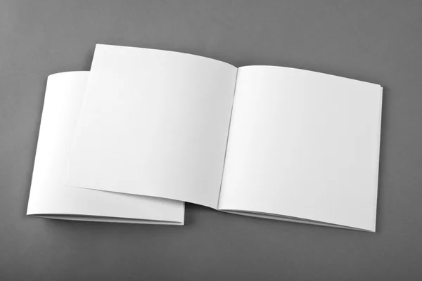 Blank opened magazine isolated on grey background with soft shadows. — Stock Photo, Image