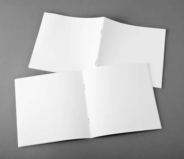 Blank opened magazine isolated on grey background with soft shadows. — Stock Photo, Image