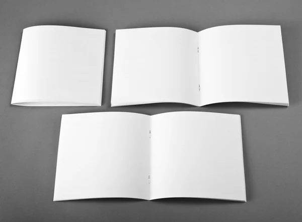 Blank opened magazine isolated on grey background with soft shadows. — Stock Photo, Image