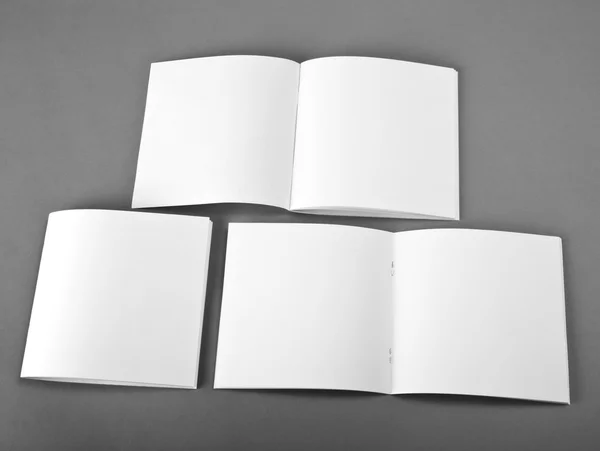 Blank opened magazine isolated on grey background with soft shadows. — Stock Photo, Image