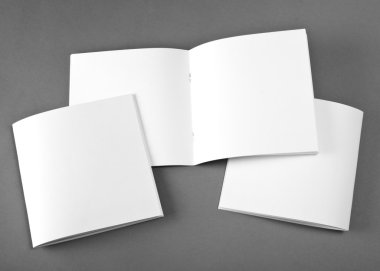 Yumuşak gölgeler ile gri arka plan üzerinde izole boş açılan dergisi