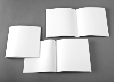 Yumuşak gölgeler ile gri arka plan üzerinde izole boş açılan dergisi