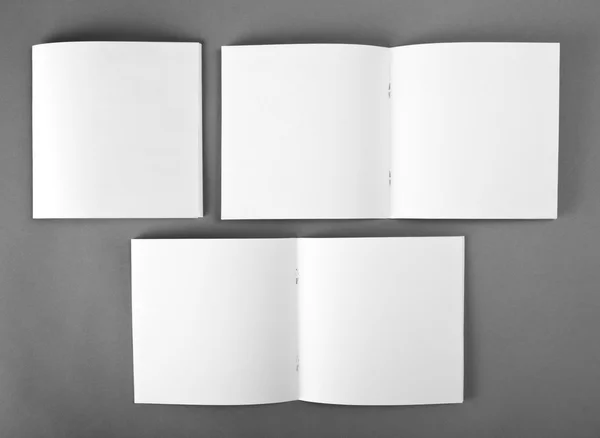 Blank opened magazine isolated on grey background with soft shadows — Stock Photo, Image