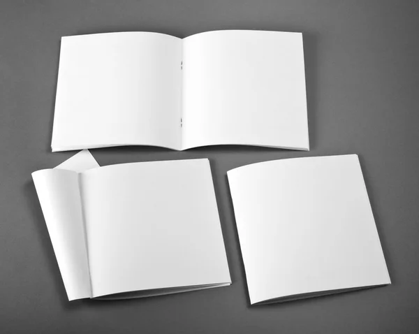 Revista abierta en blanco aislada sobre fondo gris con sombras suaves — Foto de Stock