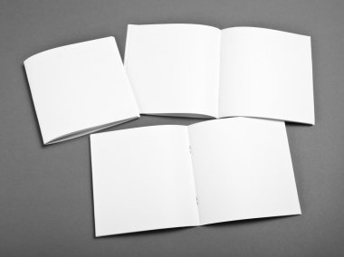 Yumuşak gölgeler ile gri arka plan üzerinde izole boş açılan dergisi.