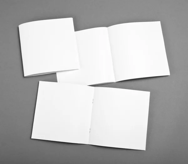 Cartella bianca aperta isolata su fondo grigio con tenui ombre . — Foto Stock