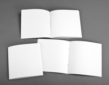 Boş katalog, broşür, dergiler, sahte kitap.