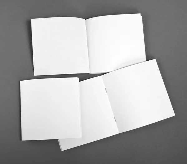 空白のカタログ、パンフレット、雑誌、本模擬まで. — ストック写真