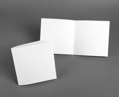 Boş katalog, broşür, dergiler, sahte kitap.