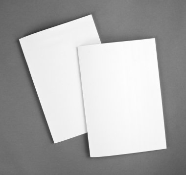 Boş katalog, broşür, dergiler, sahte kitap.